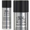 Winsor&amp;Newton Professional Gloss Vernis