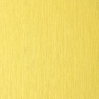 Winton 200ML Olieverf 119 Cadmium Yellow Pale Hue 8