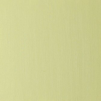 Winton 200ML Olieverf 599 Sap Green 37
