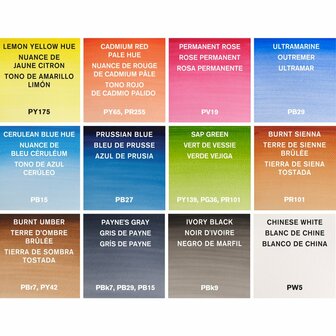Cotman Painting Plus 12 Tubes Set