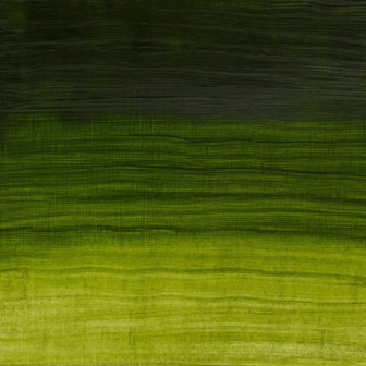 Winsor &amp; Newton Olieverf Permanent Sap Green 37ML