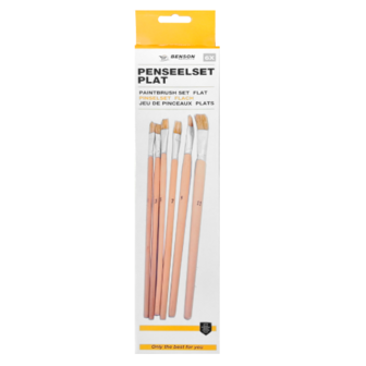 Budget Penselen set 6 delig Plat