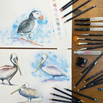 Derwent 24 Watercolour potloden