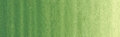 Winton Olieverf 37ML 637 Terre Verte 39