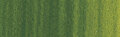Winton Olieverf 37ML 599 Sap Green 37