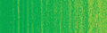 Winton Olieverf 37ML 483 Permanent Green Light 48