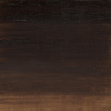 Winsor & Newton Olieverf Raw Umber 37ML