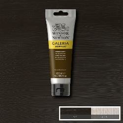 Galeria 120ml 676 Acrylverf Vandyke Brown