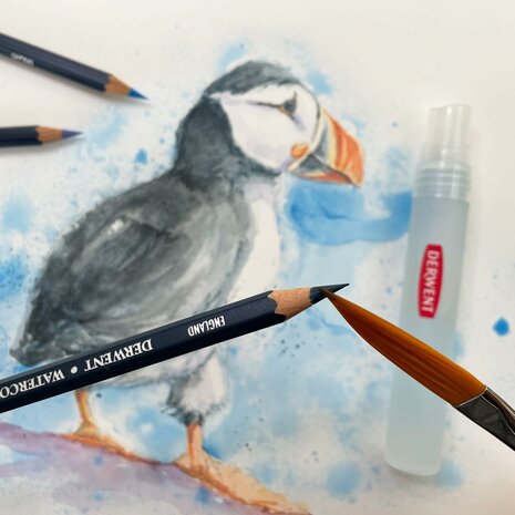 Derwent 24 Watercolour potloden