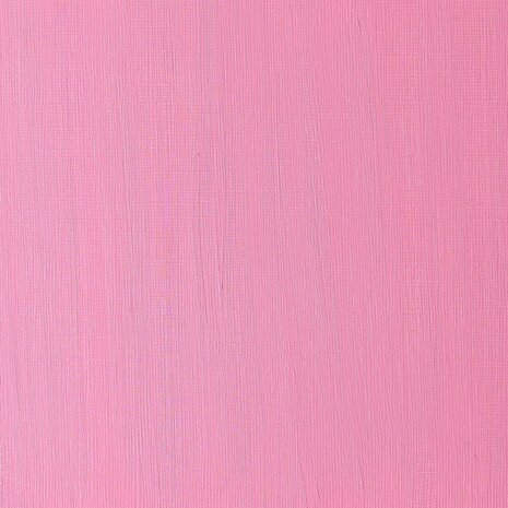 Winton 200ML Olieverf 502 Permanent Rose 49