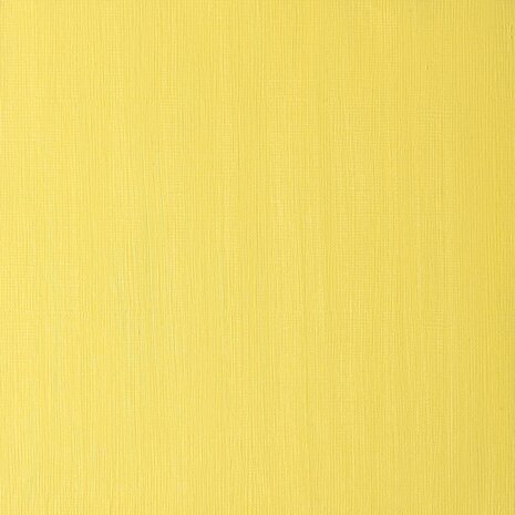 Winton 200ML Olieverf 119 Cadmium Yellow Pale Hue 8