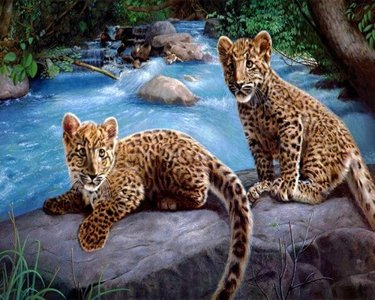 Schilderen op nummer van Set Leopard Cubs