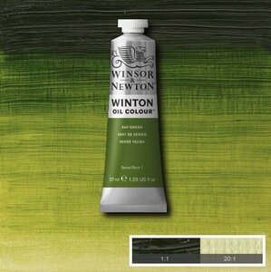 Winton Olieverf 37ML 599 Sap Green 37